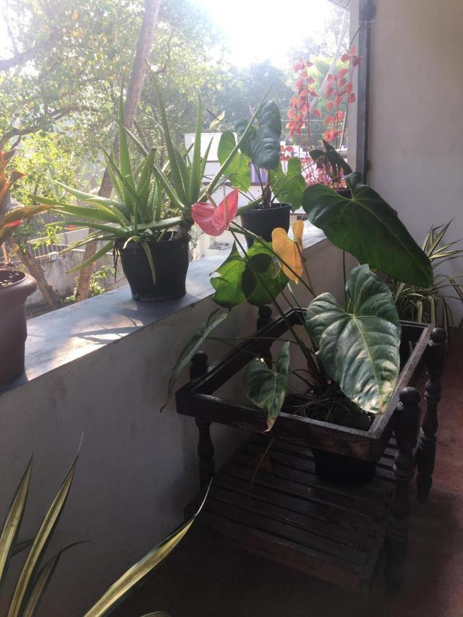 Marari Sibiya Beach Villa Mararikulam Luaran gambar