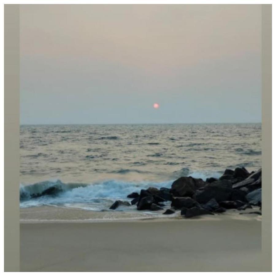 Marari Sibiya Beach Villa Mararikulam Luaran gambar