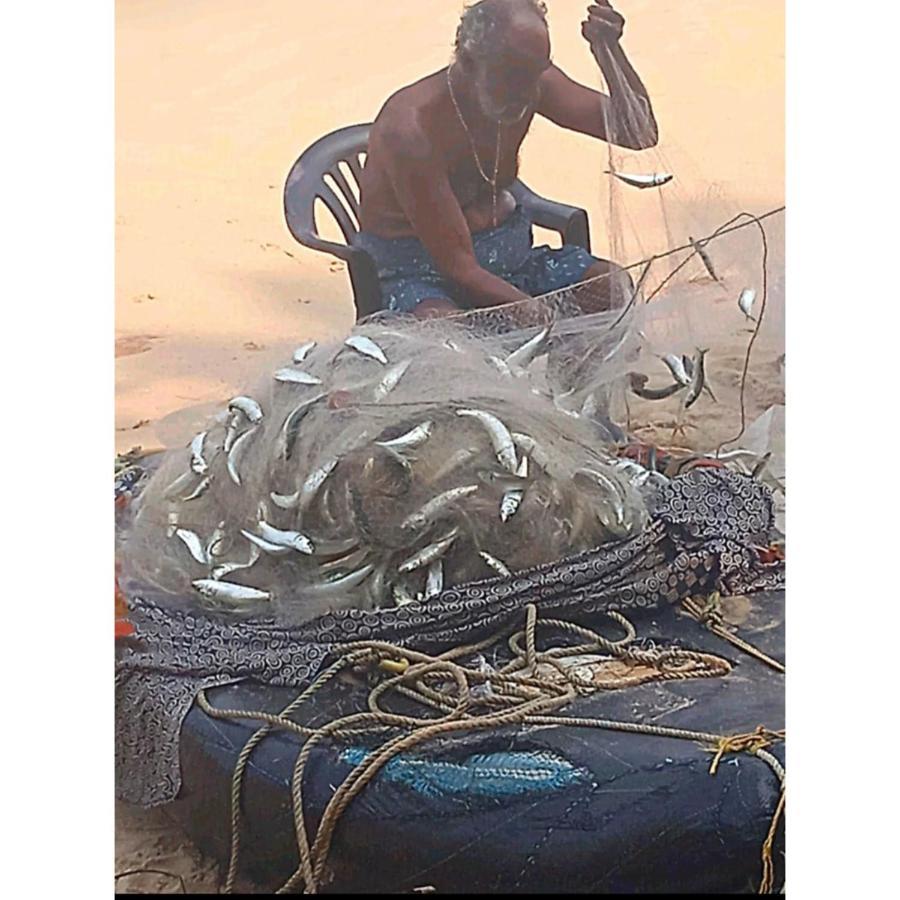 Marari Sibiya Beach Villa Mararikulam Luaran gambar